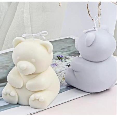 BÜYÜK SEHA AYI KALIBI