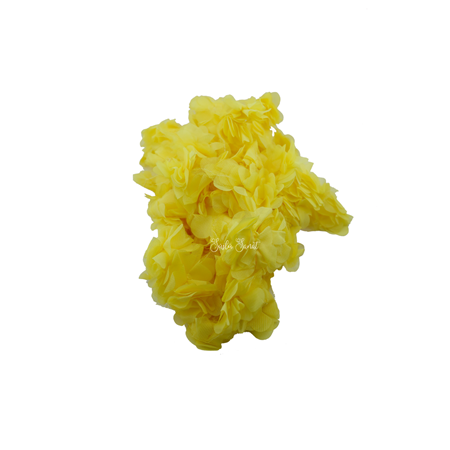 SARI LAZER KESİM 120’Lİ ÇİÇEK PAKET